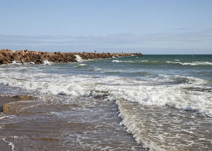 Fantastic Fatima 维拉·雷阿尔·德·桑托亚